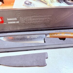 Damascus Steel Chef Knife with Wood Handle